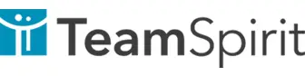 株式会社チームスピリット